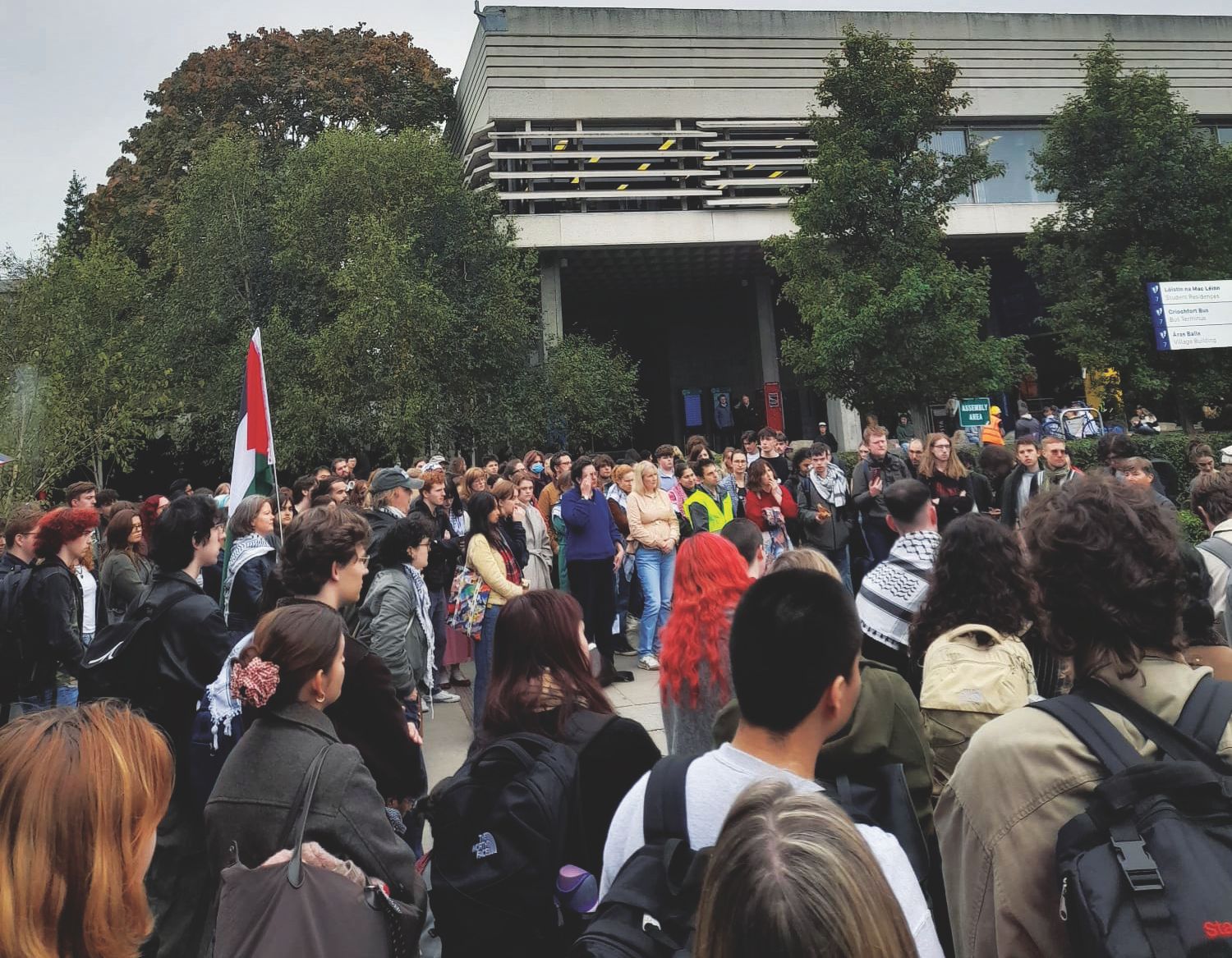 A generation pushed to the brink