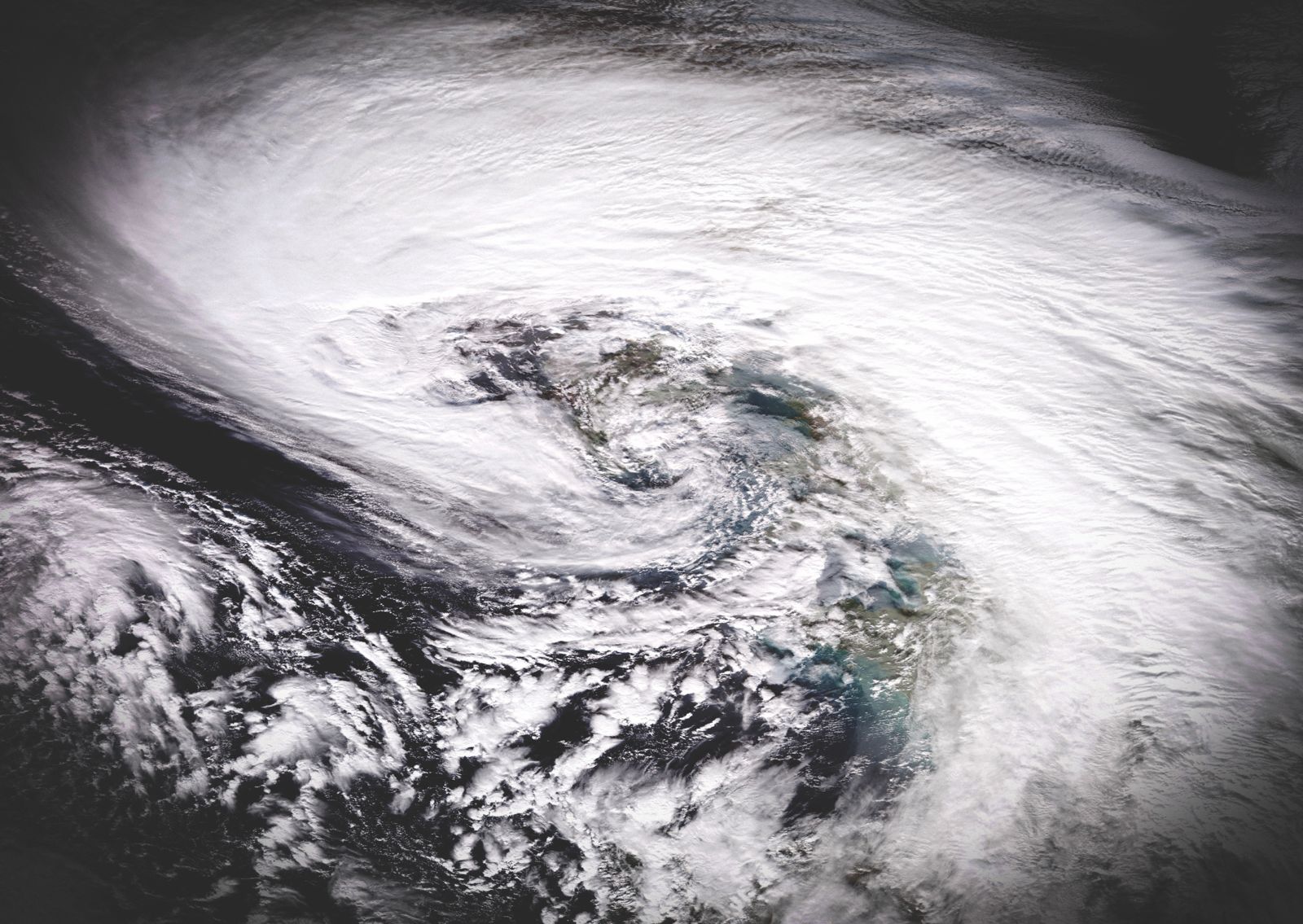 Storm Chandra: cockroaches do not worry about floods